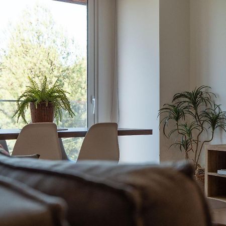 Alpes Da Montanha 501 - Apartamento Em 格拉玛多 外观 照片